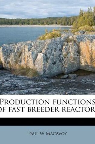 Cover of Production Functions of Fast Breeder Reactors