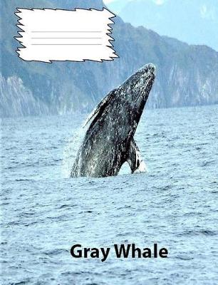Book cover for Gray Whales Wide Ruled line Paper Composition Book