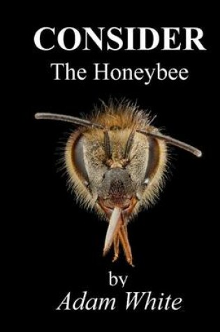Cover of Consider The Honeybee