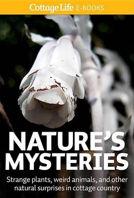 Book cover for Nature's Mysteries