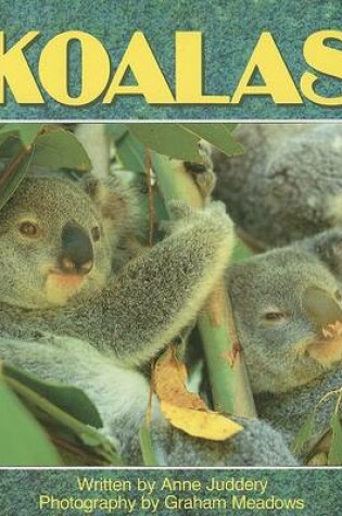 Cover of Koalas (Ltr USA G/R)