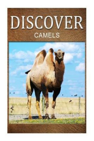 Cover of Camels - Discover