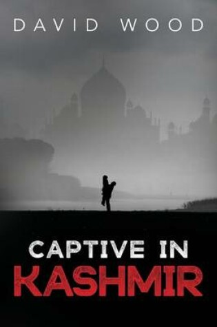 Cover of Captive in Kashmir