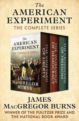 Book cover for The American Experiment