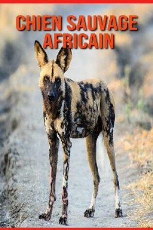 Cover of Chien Sauvage Africain