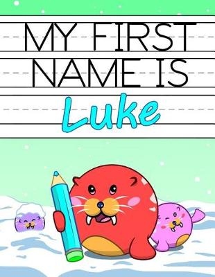 Book cover for My First Name Is Luke