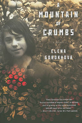 Book cover for A Mountain of Crumbs