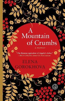 Book cover for Mountain of Crumbs