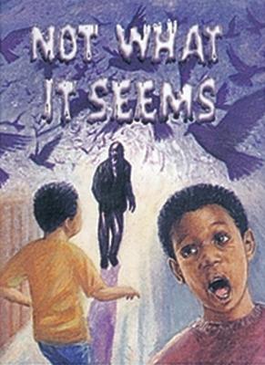 Book cover for Not What it Seems