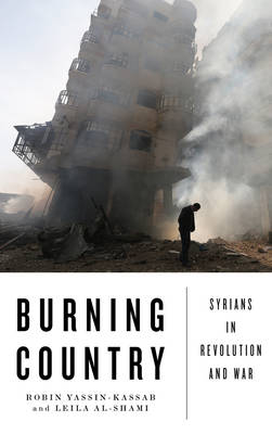 Book cover for Burning Country - Old Edition