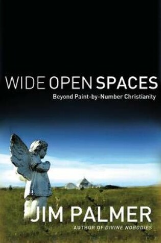 Cover of Wide Open Spaces