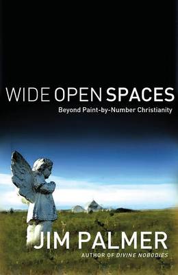 Book cover for Wide Open Spaces