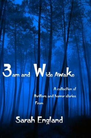 Cover of 3am and Wide Awake