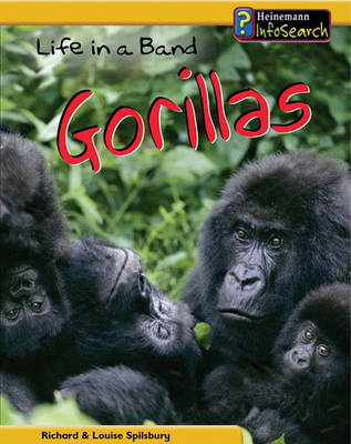Cover of Animal Groups: Life in a Band of Gorillas