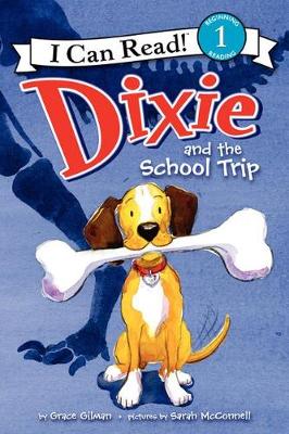 Book cover for Dixie and the School Trip