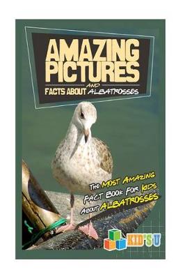 Book cover for Amazing Pictures and Facts about Albatross