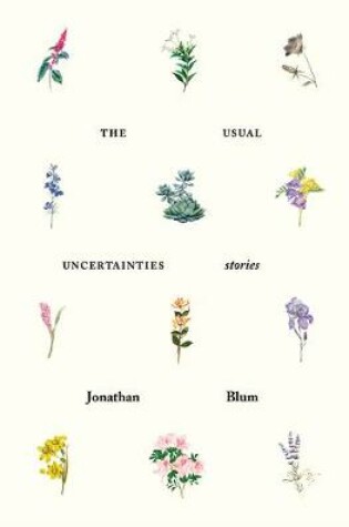 Cover of The Usual Uncertainties: Stories