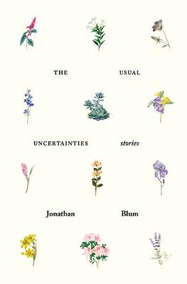 Book cover for The Usual Uncertainties: Stories