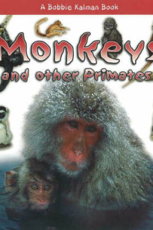 Cover of Monkeys and other Primates