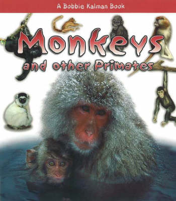 Book cover for Monkeys and other Primates