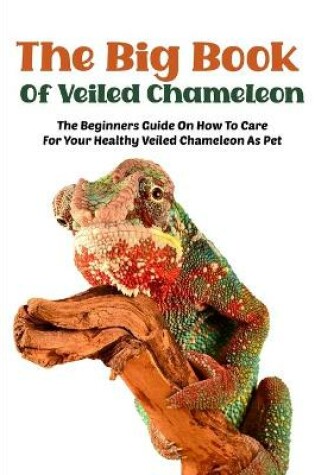Cover of The Big Book Of Veiled Chameleon The Beginners Guide On How To Care For Your Healthy Veiled Chameleon As Pet