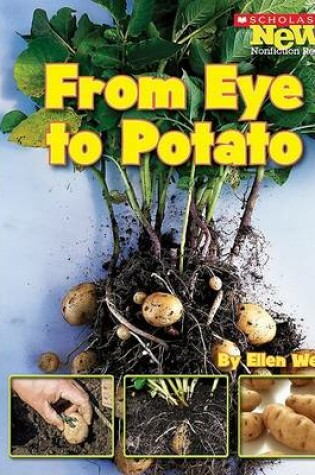 Cover of From Eye to Potato