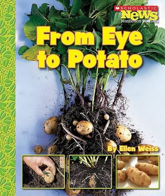 Book cover for From Eye to Potato