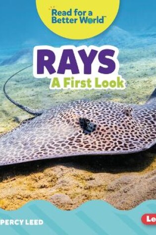 Cover of Rays