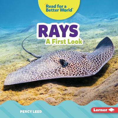 Cover of Rays