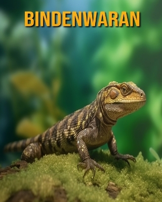 Book cover for Bindenwaran