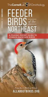 Book cover for Feeder Birds of the Northeast