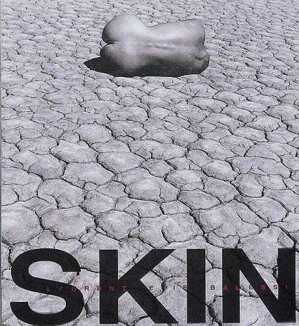 Book cover for Skin