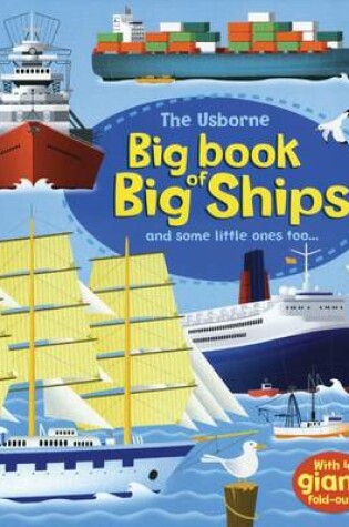 Cover of Big Book of Big Ships