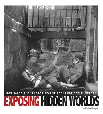Book cover for Exposing Hidden Worlds