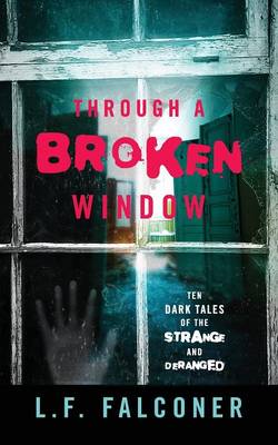 Book cover for Through a Broken Window