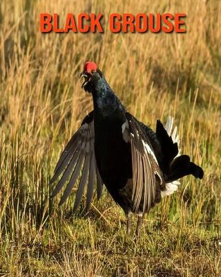 Book cover for Black Grouse