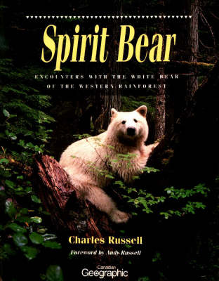 Book cover for Spirit Bear