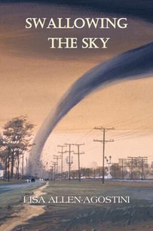 Cover of Swallowing the Sky