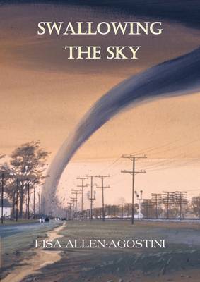 Cover of Swallowing the Sky