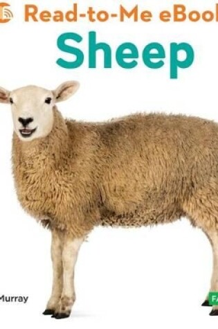 Cover of Sheep