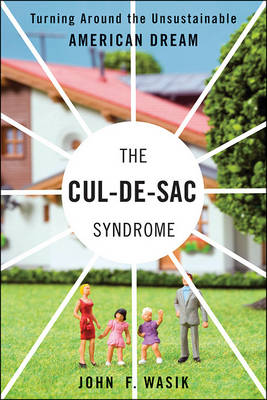 Cover of The Cul-de-Sac Syndrome