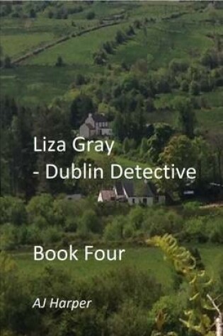 Cover of Liza Gray - Dublin Detectve