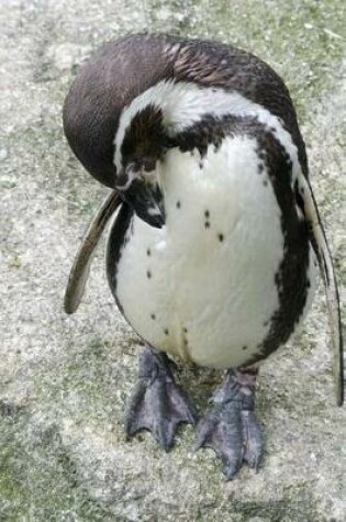 Cover of Shy Humboldt Penguin Journal