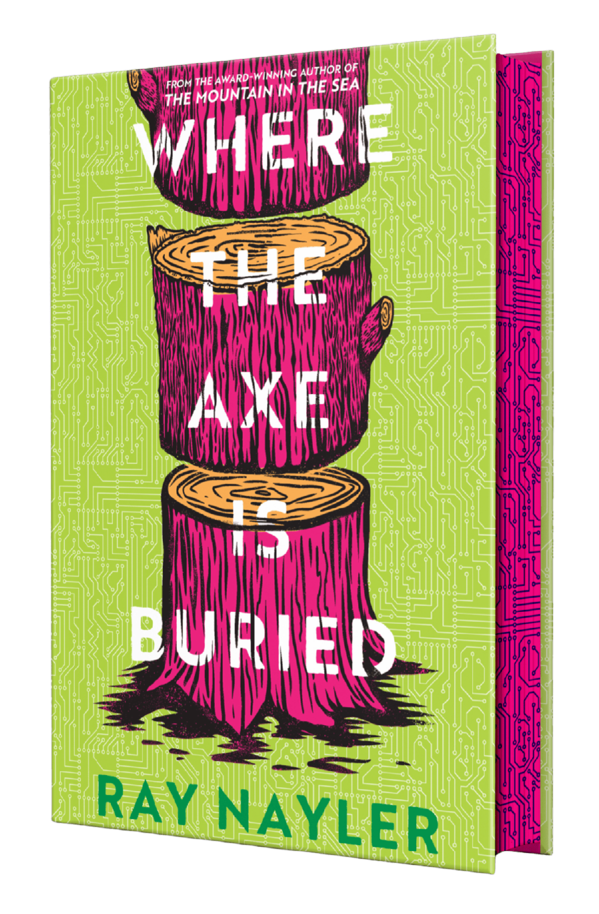 Cover of Where the Axe is Buried