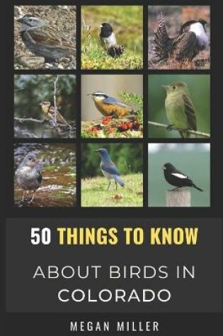 Cover of 50 Things to Know About Birds in Colorado