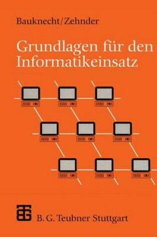 Cover of Grundlagen Fur Den Informatikeinsatz