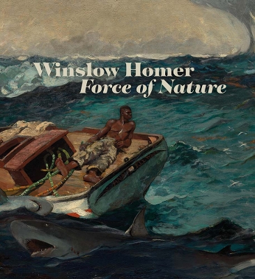 Book cover for Winslow Homer