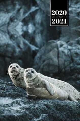 Cover of Seal Manatee Sea Lion Cow Walrus Dugong Week Planner Weekly Organizer Calendar 2020 / 2021 - Together on Cliff