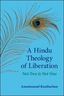 Cover of A Hindu Theology of Liberation