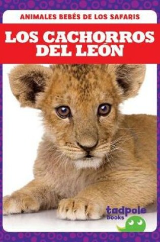 Cover of Los Cachorros del Leon (Lion Cubs)